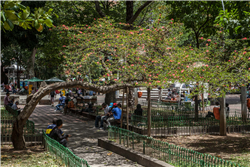 Parque de Bolívar Galería Actual